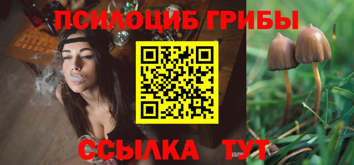 Псилоцибиновые грибы Psilocybine cubensis  Вход с VPN  Благовещенск 
